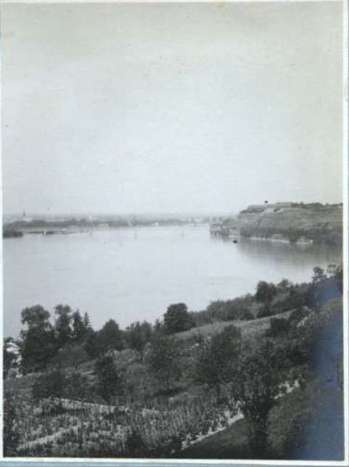 Petrovaradin's Bluff and a Hazy Novi Sad, Vineyard Rows Below, 1917