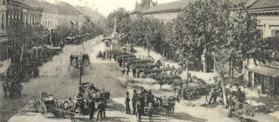 Market day in Zmaj Jovina before the Bishop's Palace, Zmaj Jovina Street, Novi Sad, 1900–1918