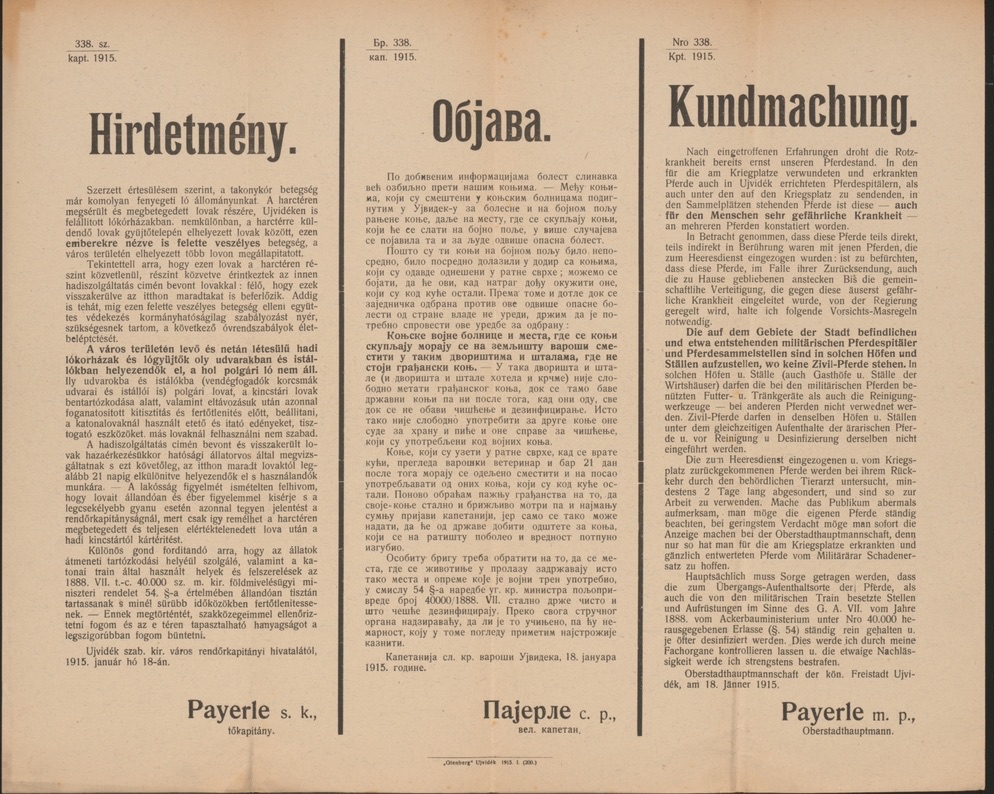 Предупреждение о сапе у лошадей, Нови-Сад, 18 января 1915