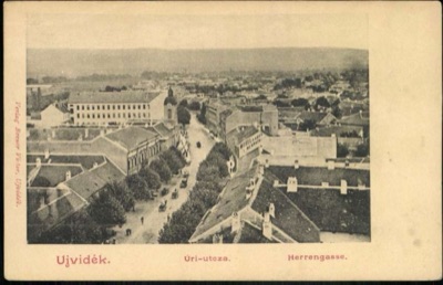 A Rooftop View Down Uri Street, Novi Sad, Lords' Street, 1896–1918