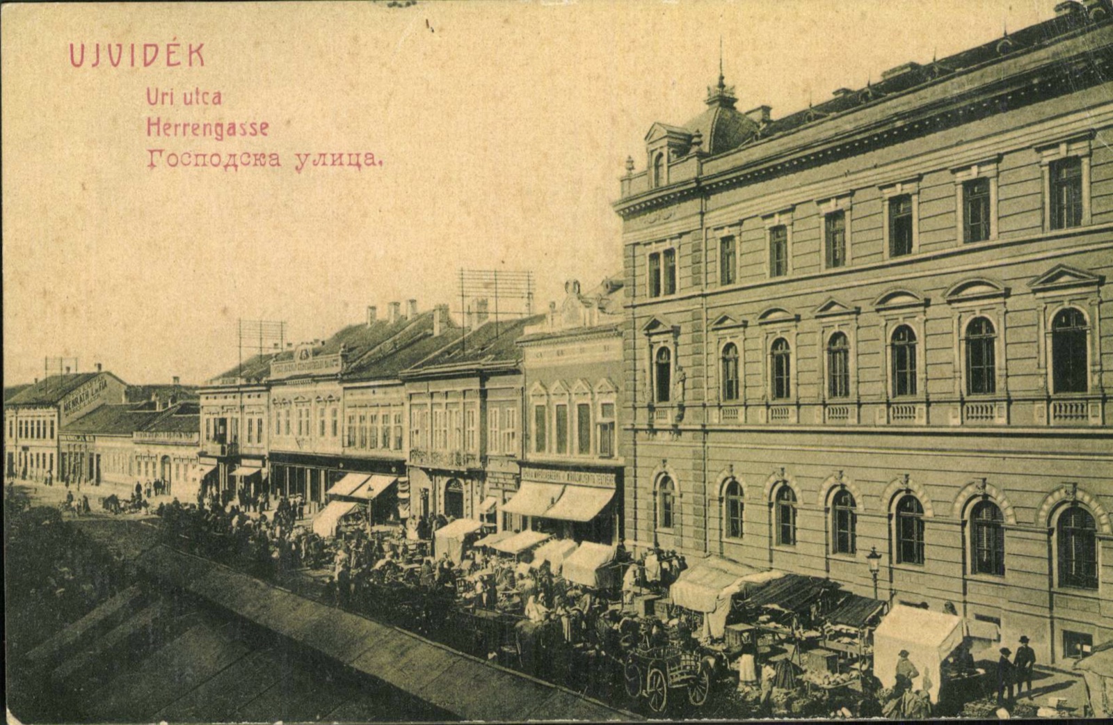 Lords' Street, with a market underway, Novi Sad, by September 1907