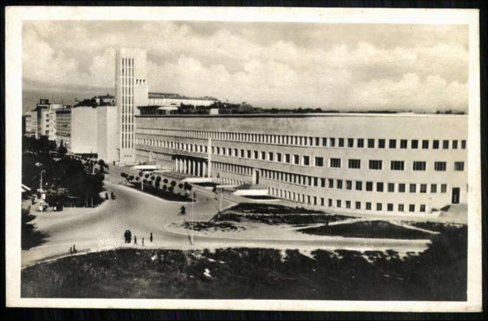 The Former Banovina Palace, a Roundabout of Young Trees, Novi Sad, 1941–1945