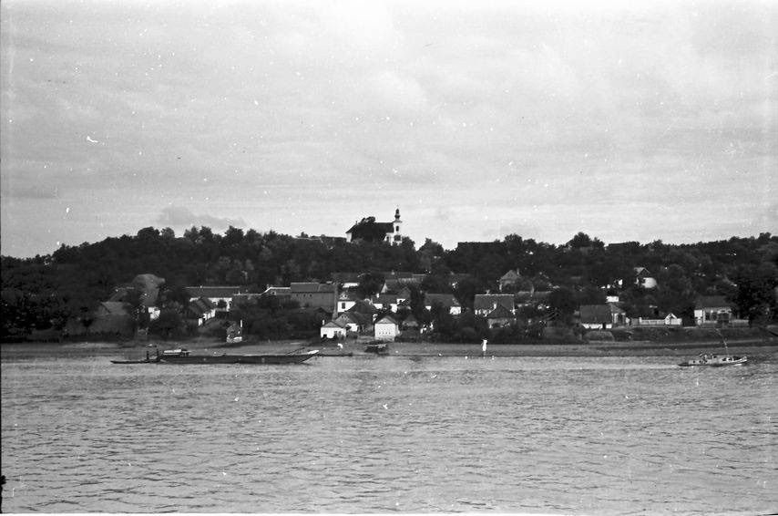 Dorf am bewaldeten Donauufer bei Neusatz, vom Fluss aus gesehen, etwa 1937 bis 1950