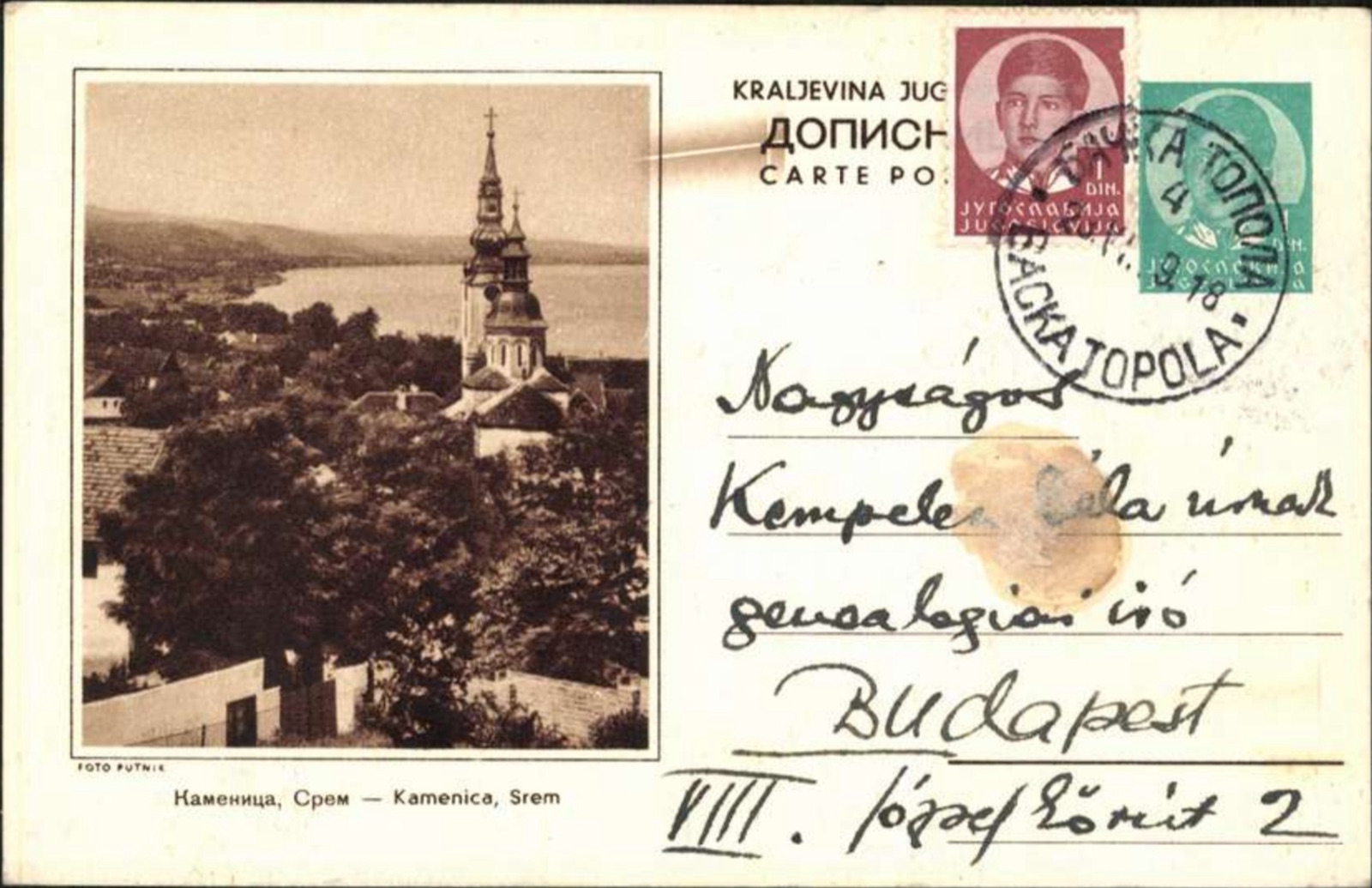 Kamenica, Srem, on a Kingdom of Yugoslavia postal card, Sremska Kamenica, 1919–1941