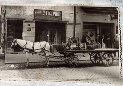 A carter waiting outside Stojacic the tailor, Jewish Street, Novi Sad, 1937–1938