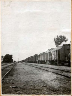 A Military Bath Train at Petrovaradin, a Lower Angle View, Novi Sad, 1917