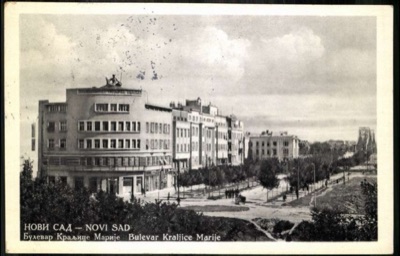 Queen Mary Boulevard, Cattle Being Driven Past the Roundabout, Novi Sad, by May 1941