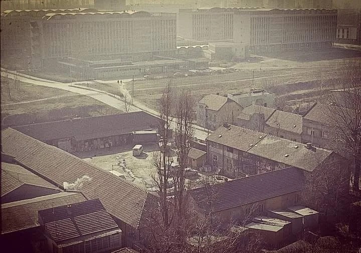 Преко старог дела града ка факултетима, Лиман, Нови Сад, 1960-1979