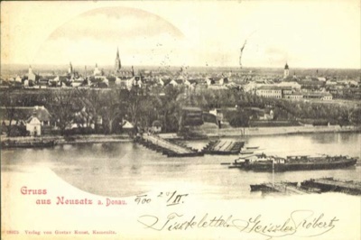 Greetings from Novi Sad on the Danube, 1900, Pontoon Bridge
