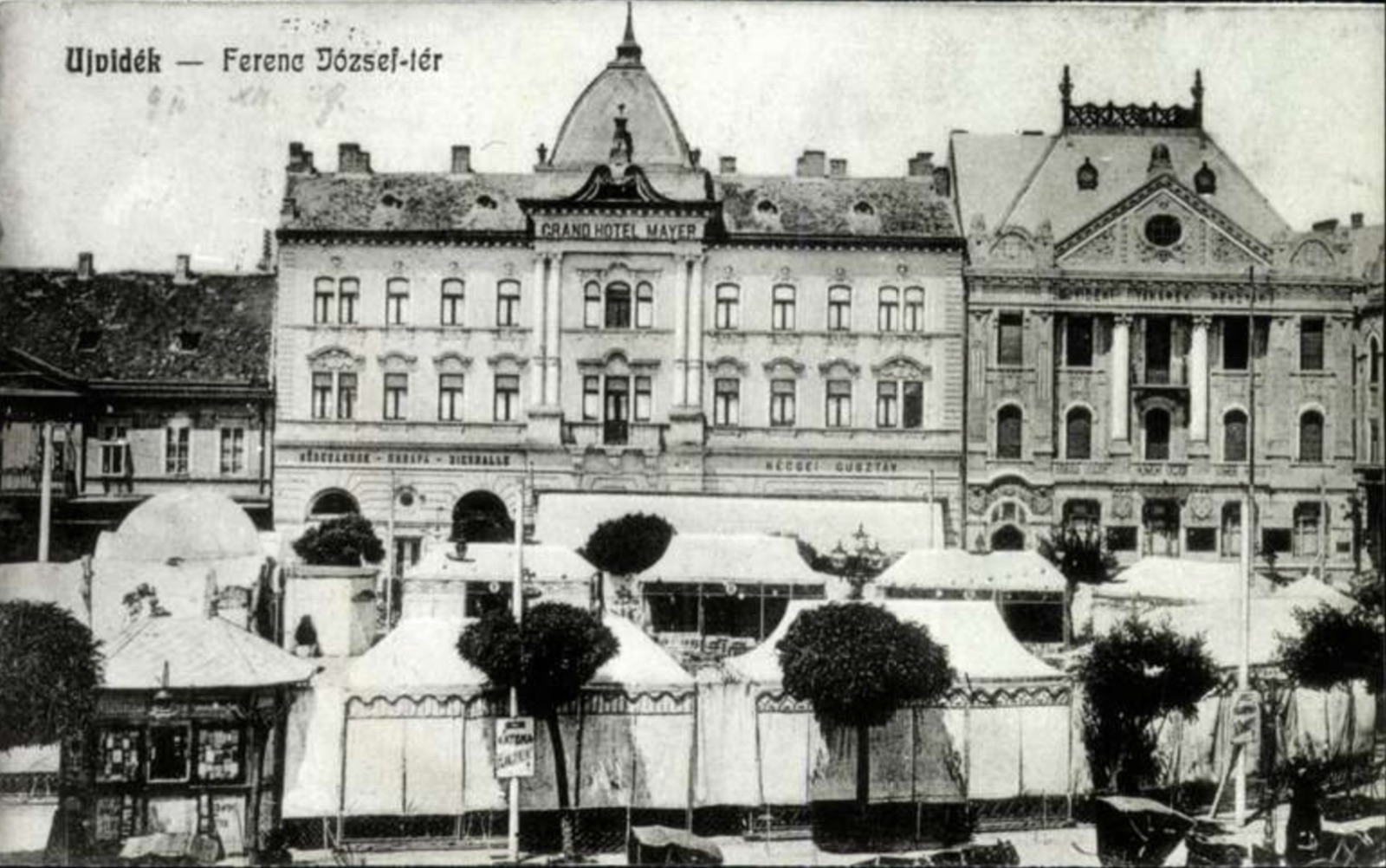 The Grand Hotel Mayer and the market stalls, Novi Sad, 1896–1918