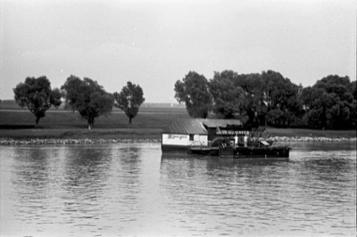 Ship mill moored off a willow-planted bank at Novi Sad, 1919–1941