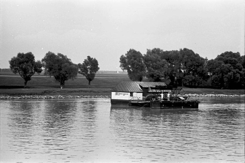 Ship mill moored off a willow-planted bank at Novi Sad, 1919–1941