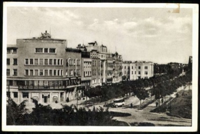 Tree-Lined Avenue Beside a Rooftop Statue, 1941, The Merchant Youths' Home, Novi Sad