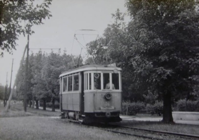 A tram on the reserved track under the trees, Futoški Park, Novi Sad, 1911–1958