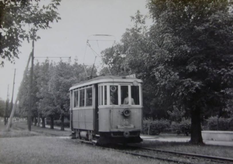A tram on the reserved track under the trees, Futoški Park, Novi Sad, 1911–1958