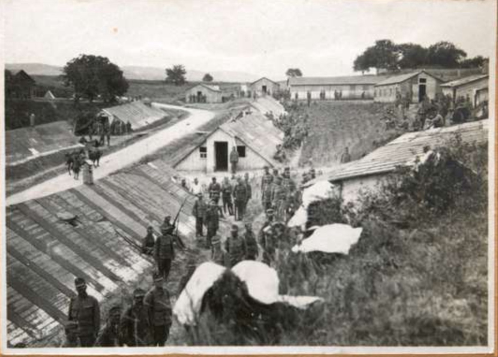 Soldiers Filing Between the Southern Barracks, Petrovaradin, Novi Sad, 1917