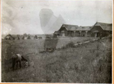Wooden Barracks and Tents Near Petrovaradin, a Horse Grazing, Novi Sad, 1917