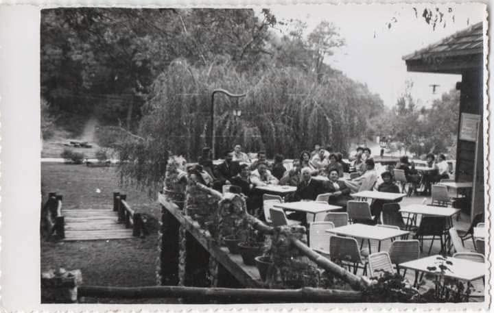 The terrace at Stražilovo, Sremski Karlovci, 1950s-1960s