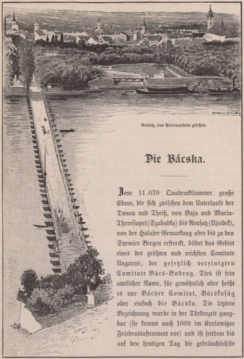 Neusatz seen from Peterwardein, Pontoon Bridge, Novi Sad, 1883