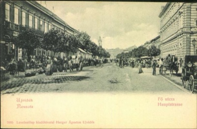 Main Street Market Seen Straight Down the Cobbled Road, Zmaj Jovina Street, Novi Sad, 1896–1918