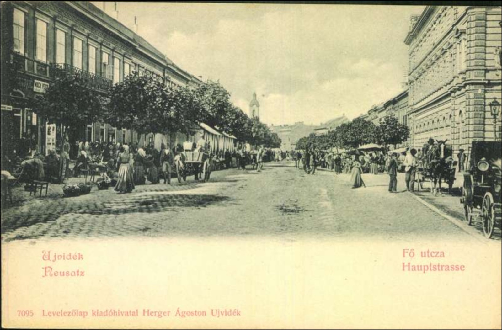 Main Street Market Seen Straight Down the Cobbled Road, Zmaj Jovina Street, Novi Sad, 1896–1918