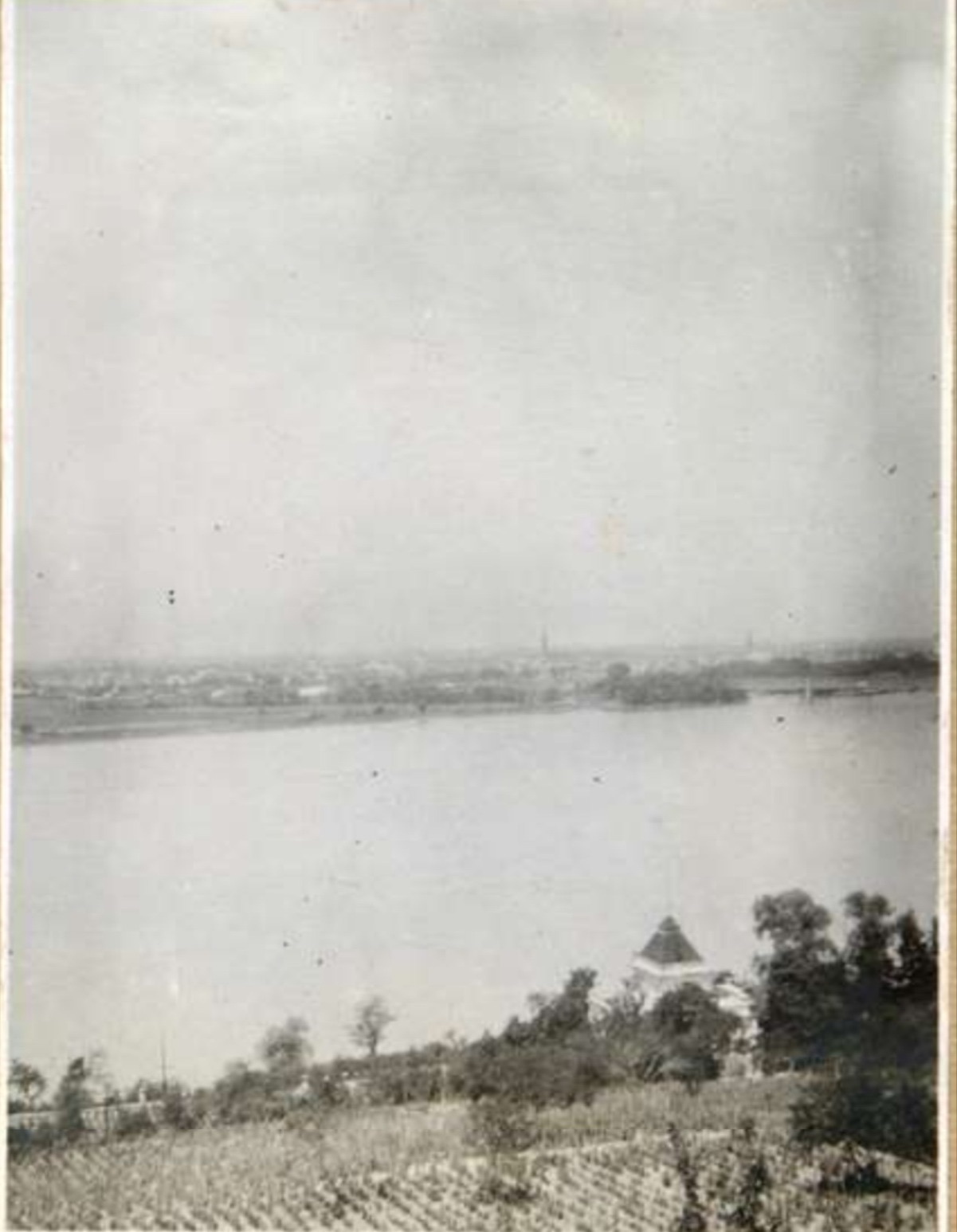 Novi Sad Across the Danube, Above a Ploughed Vineyard Slope, Sremska Kamenica, 1917