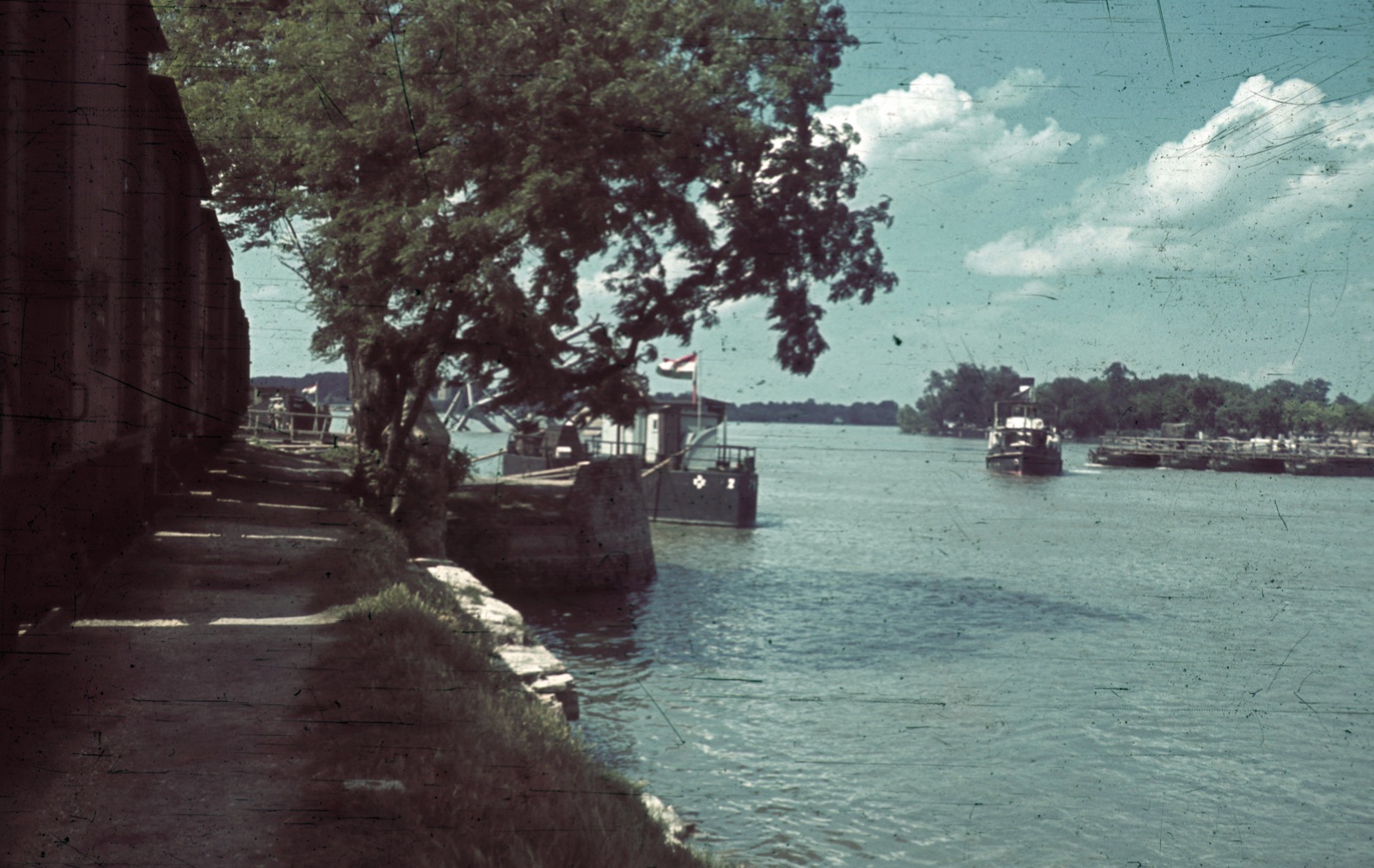 A train at the Novi Sad Danube harbour, Liman, 1941